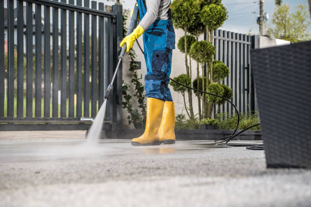 Roof Power Washing Services in Toast, NC