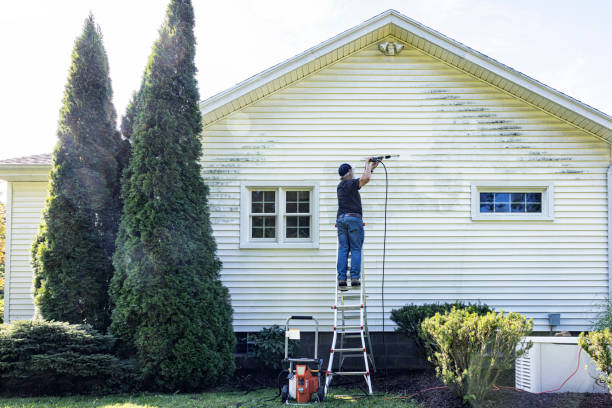 Best Roof Power Washing Services  in Toast, NC
