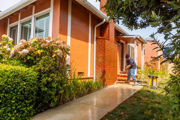 Best Pressure Washing Services Near Me  in Toast, NC